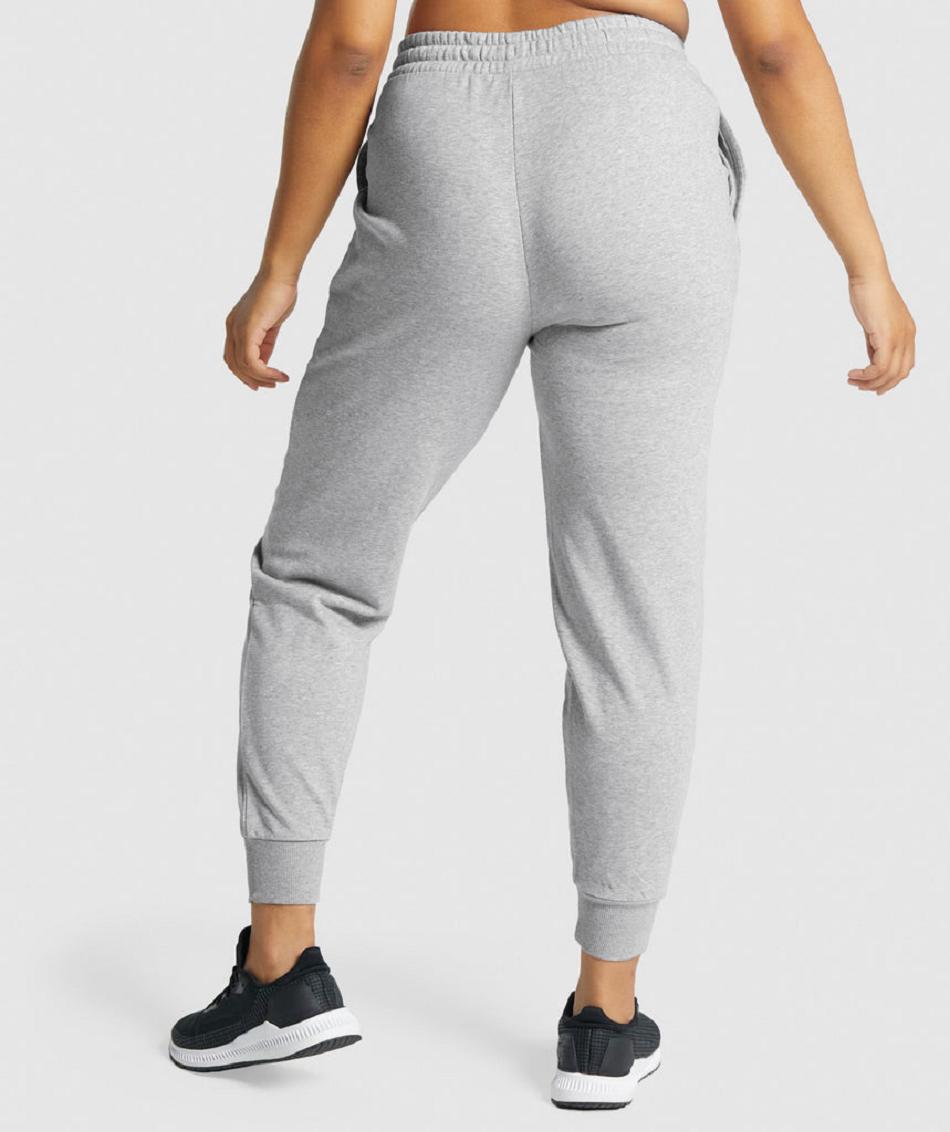 Gymshark Training Ženske Jogger Hlače Svijetlo Sive | HR 4112KOR